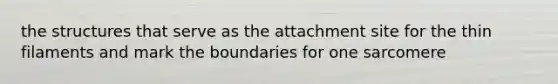 the structures that serve as the attachment site for the thin filaments and mark the boundaries for one sarcomere