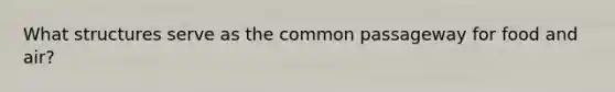 What structures serve as the common passageway for food and air?