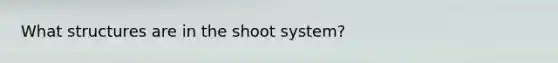 What structures are in the shoot system?