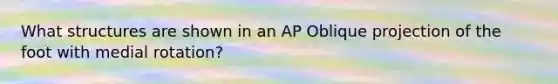 What structures are shown in an AP Oblique projection of the foot with medial rotation?