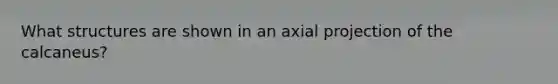 What structures are shown in an axial projection of the calcaneus?