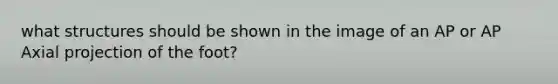 what structures should be shown in the image of an AP or AP Axial projection of the foot?