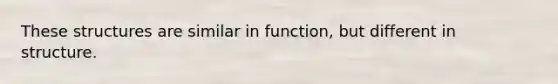 These structures are similar in function, but different in structure.