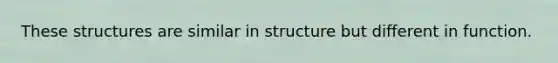 These structures are similar in structure but different in function.