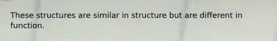 These structures are similar in structure but are different in function.