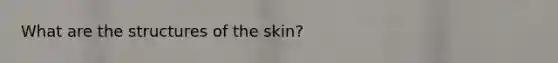 What are the structures of the skin?