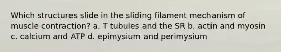 Which structures slide in the sliding filament mechanism of muscle contraction? a. T tubules and the SR b. actin and myosin c. calcium and ATP d. epimysium and perimysium