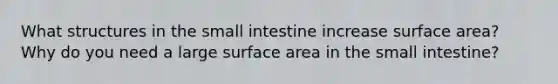 What structures in the small intestine increase surface area? Why do you need a large surface area in the small intestine?