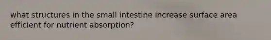 what structures in the small intestine increase surface area efficient for nutrient absorption?