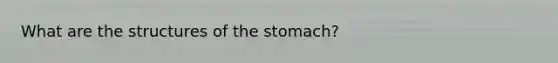 What are the structures of the stomach?