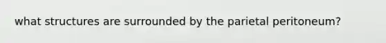 what structures are surrounded by the parietal peritoneum?
