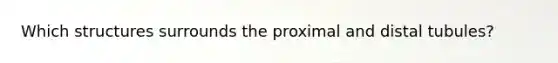 Which structures surrounds the proximal and distal tubules?