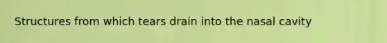 Structures from which tears drain into the nasal cavity