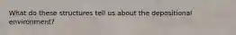 What do these structures tell us about the depositional environment?