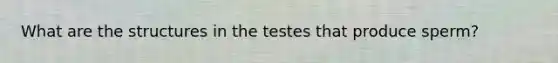 What are the structures in the testes that produce sperm?