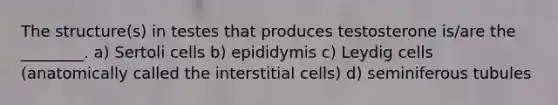 The structure(s) in testes that produces testosterone is/are the ________. a) Sertoli cells b) epididymis c) Leydig cells (anatomically called the interstitial cells) d) seminiferous tubules