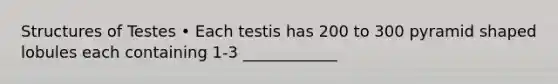 Structures of Testes • Each testis has 200 to 300 pyramid shaped lobules each containing 1-3 ____________
