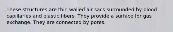 These structures are thin walled air sacs surrounded by blood capillaries and elastic fibers. They provide a surface for gas exchange. They are connected by pores.