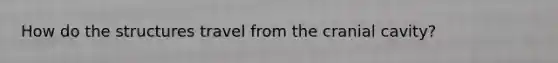 How do the structures travel from the cranial cavity?