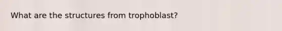 What are the structures from trophoblast?