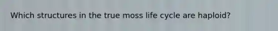 Which structures in the true moss life cycle are haploid?