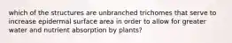 which of the structures are unbranched trichomes that serve to increase epidermal surface area in order to allow for greater water and nutrient absorption by plants?
