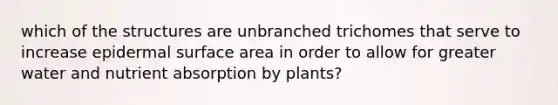 which of the structures are unbranched trichomes that serve to increase epidermal surface area in order to allow for greater water and nutrient absorption by plants?