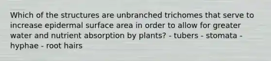 Which of the structures are unbranched trichomes that serve to increase epidermal surface area in order to allow for greater water and nutrient absorption by plants? - tubers - stomata - hyphae - root hairs