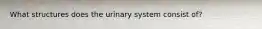 What structures does the urinary system consist of?