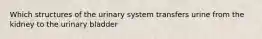 Which structures of the urinary system transfers urine from the kidney to the urinary bladder