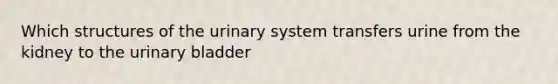 Which structures of the urinary system transfers urine from the kidney to the <a href='https://www.questionai.com/knowledge/kb9SdfFdD9-urinary-bladder' class='anchor-knowledge'>urinary bladder</a>