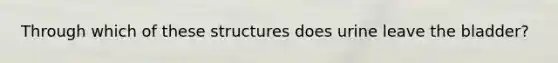 Through which of these structures does urine leave the bladder?