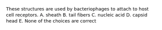 These structures are used by bacteriophages to attach to host cell receptors. A. sheath B. tail fibers C. nucleic acid D. capsid head E. None of the choices are correct