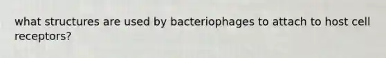 what structures are used by bacteriophages to attach to host cell receptors?