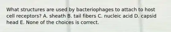 What structures are used by bacteriophages to attach to host cell receptors? A. sheath B. tail fibers C. nucleic acid D. capsid head E. None of the choices is correct.