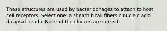 These structures are used by bacteriophages to attach to host cell receptors. Select one: a.sheath b.tail fibers c.nucleic acid d.capsid head e.None of the choices are correct.