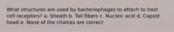 What structures are used by bacteriophages to attach to host cell receptors? a. Sheath b. Tail fibers c. Nucleic acid d. Capsid head e. None of the choices are correct