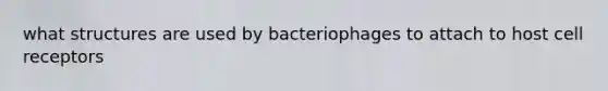 what structures are used by bacteriophages to attach to host cell receptors