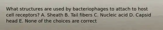 What structures are used by bacteriophages to attach to host cell receptors? A. Sheath B. Tail fibers C. Nucleic acid D. Capsid head E. None of the choices are correct