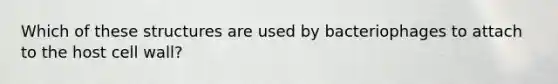 Which of these structures are used by bacteriophages to attach to the host cell wall?