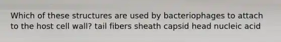 Which of these structures are used by bacteriophages to attach to the host cell wall? tail fibers sheath capsid head nucleic acid