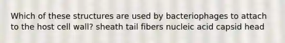 Which of these structures are used by bacteriophages to attach to the host cell wall? sheath tail fibers nucleic acid capsid head