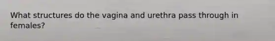 What structures do the vagina and urethra pass through in females?