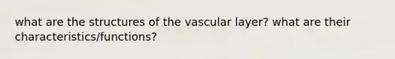 what are the structures of the vascular layer? what are their characteristics/functions?