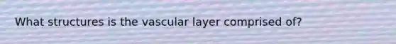 What structures is the vascular layer comprised of?