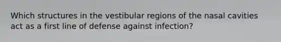 Which structures in the vestibular regions of the nasal cavities act as a first line of defense against infection?