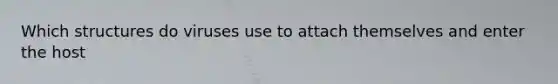 Which structures do viruses use to attach themselves and enter the host