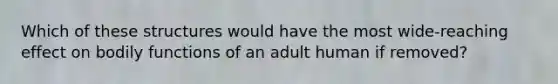 Which of these structures would have the most wide-reaching effect on bodily functions of an adult human if removed?