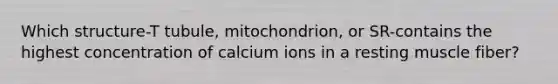 Which structure-T tubule, mitochondrion, or SR-contains the highest concentration of calcium ions in a resting muscle fiber?