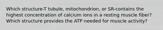 Which structure-T tubule, mitochondrion, or SR-contains the highest concentration of calcium ions in a resting muscle fiber? Which structure provides the ATP needed for muscle activity?